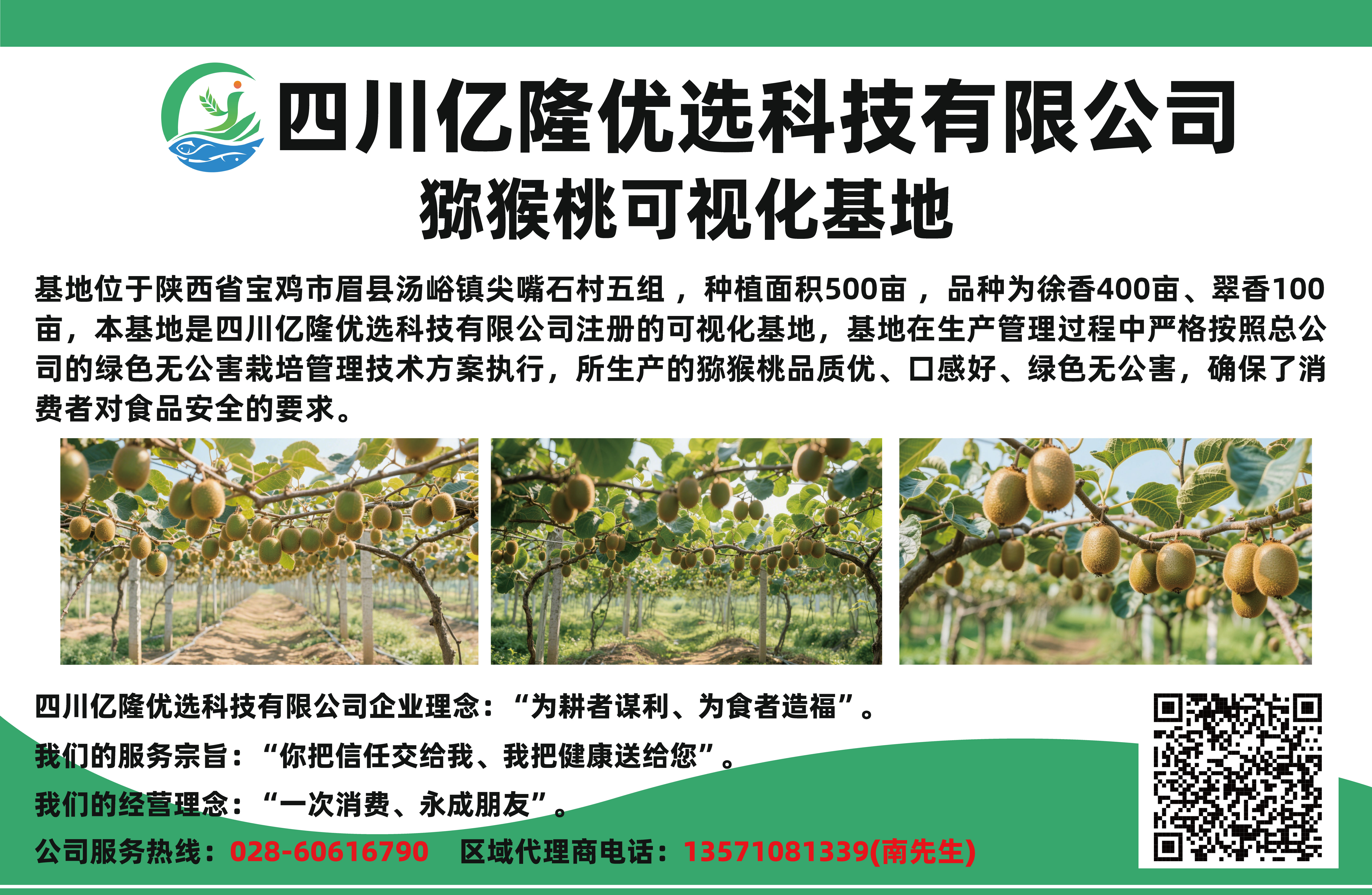 四川亿隆优选科技有限公司猕猴桃可视化基地