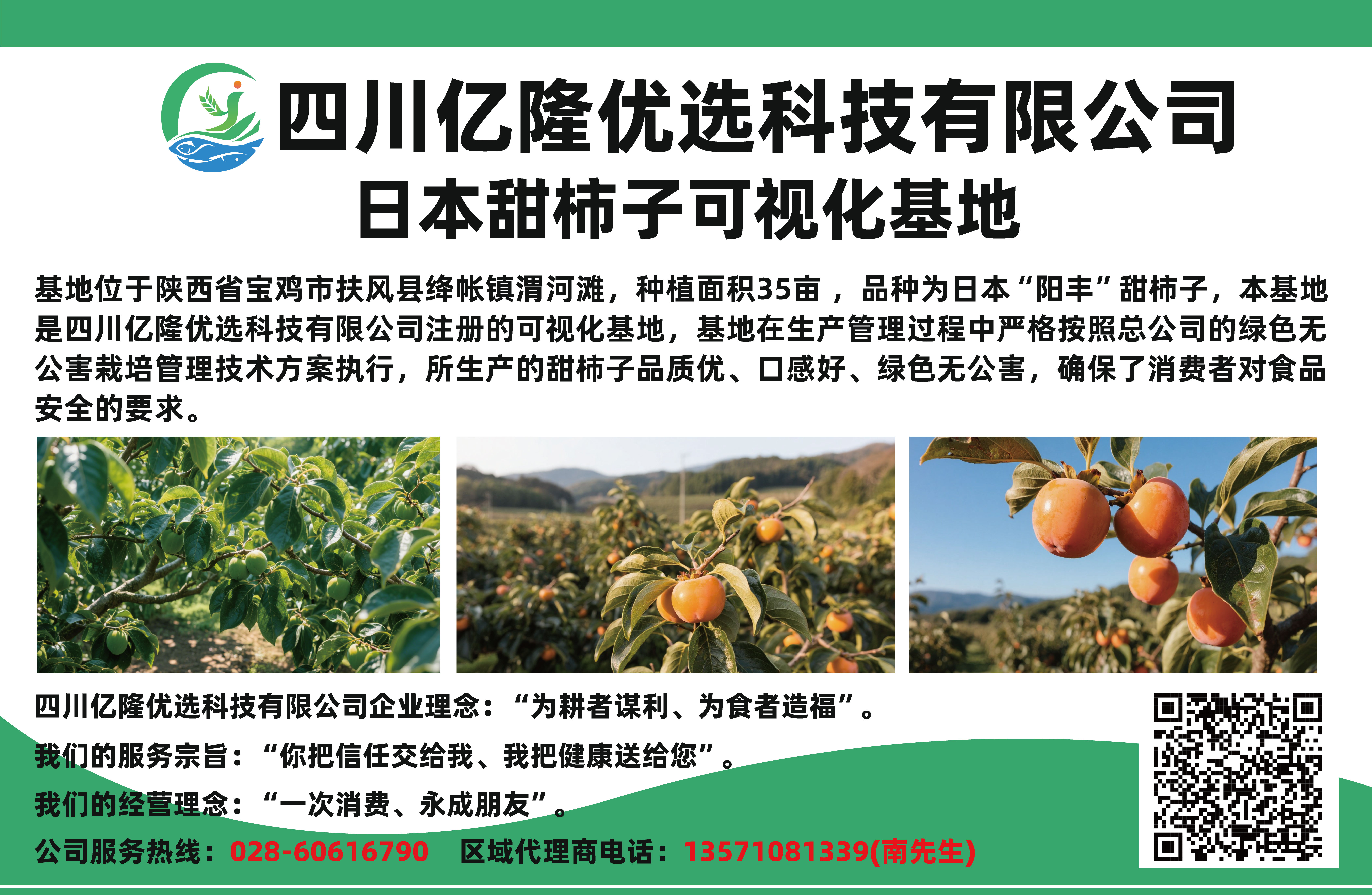 日本甜柿子可视化基地