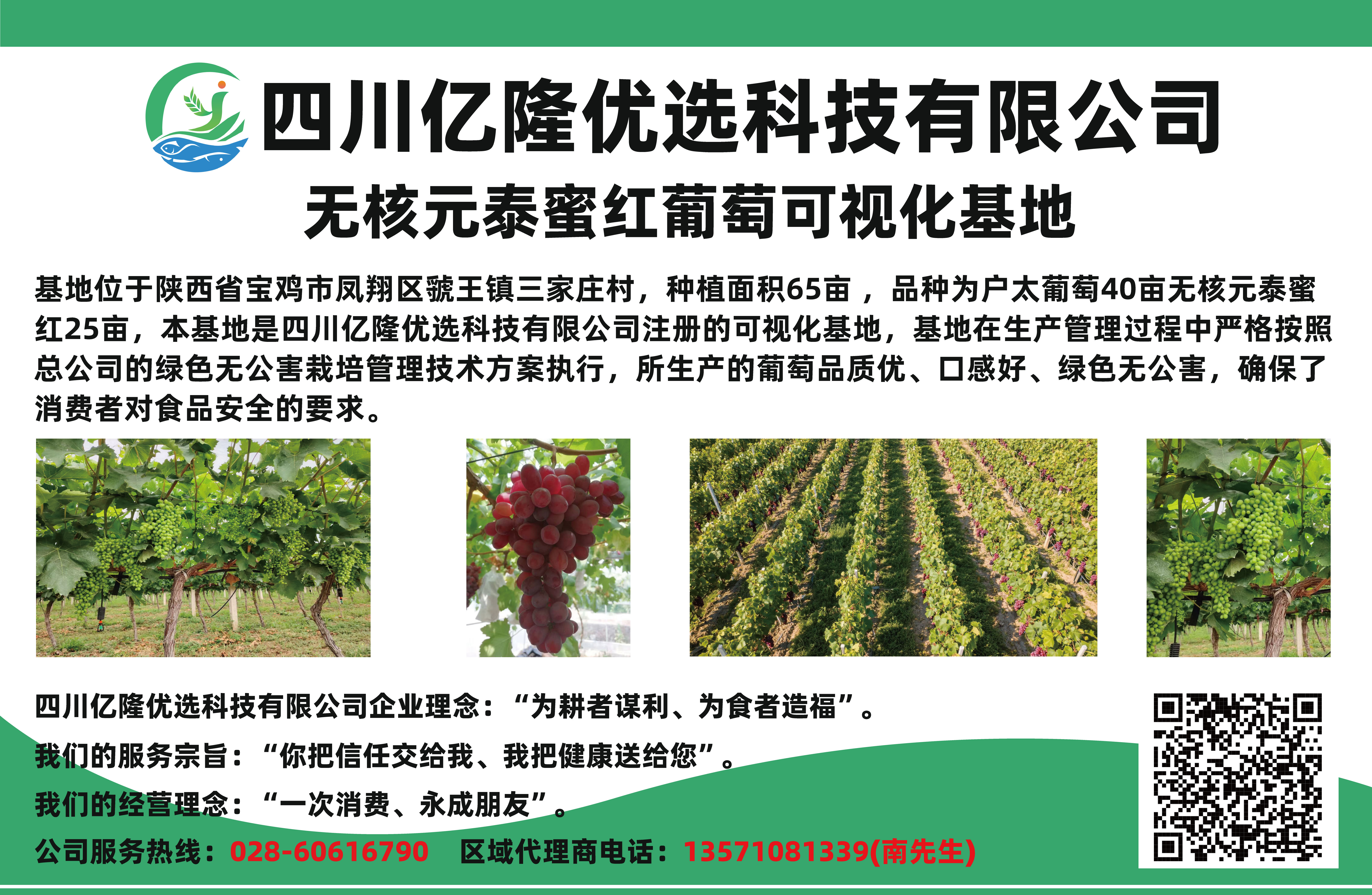 无核元泰蜜红葡萄可视化基地